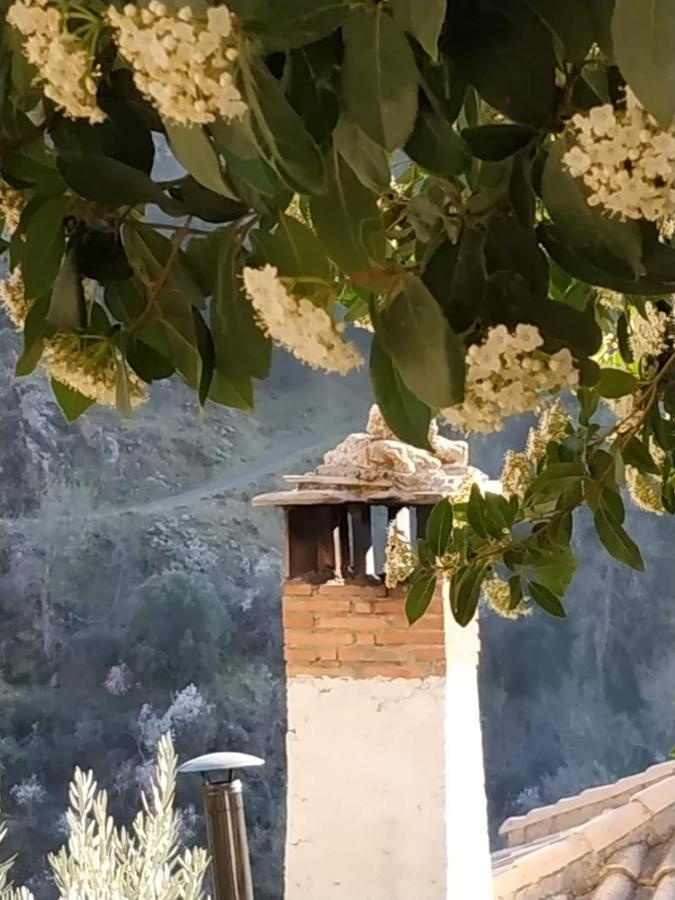 Cortijo La Solana Pensionat Güéjar Sierra Eksteriør billede