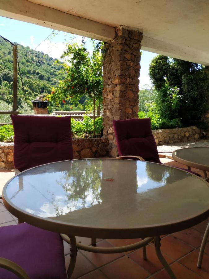 Cortijo La Solana Pensionat Güéjar Sierra Eksteriør billede