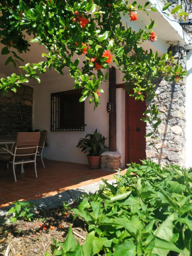 Cortijo La Solana Pensionat Güéjar Sierra Eksteriør billede